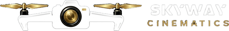 Skyway Cinematics logo