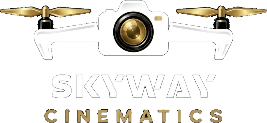 Skyway Cinematics logo